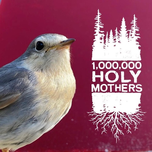 1,000,000 Holy Mothers - Aberrant